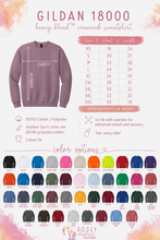 Load image into Gallery viewer, Nemours PT Sweater
